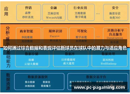如何通过综合数据和表现评估新球员在球队中的潜力与适应角色