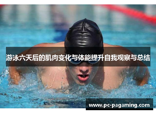 游泳六天后的肌肉变化与体能提升自我观察与总结