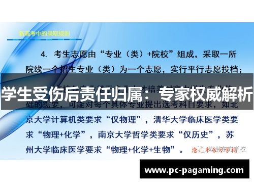 学生受伤后责任归属：专家权威解析