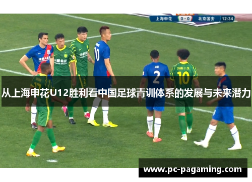 从上海申花U12胜利看中国足球青训体系的发展与未来潜力