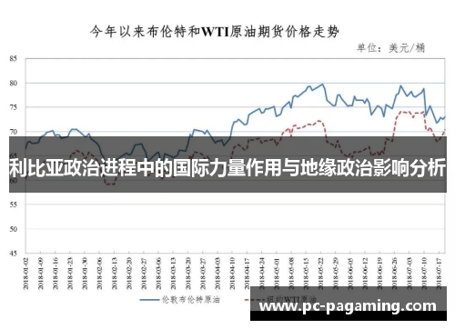 利比亚政治进程中的国际力量作用与地缘政治影响分析