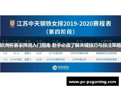 欧洲杯赛事预测入门指南 新手必读了解关键技巧与投注策略