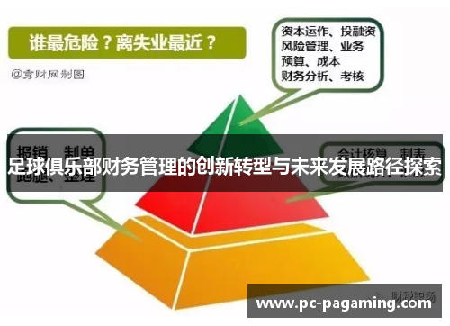 足球俱乐部财务管理的创新转型与未来发展路径探索