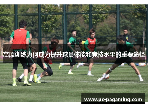高原训练为何成为提升球员体能和竞技水平的重要途径