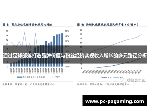 通过足球部落打造品牌价值与粉丝经济实现收入增长的多元路径分析 通过足球部落打造品牌价值与粉丝经济实现收入增长的多元路径分析