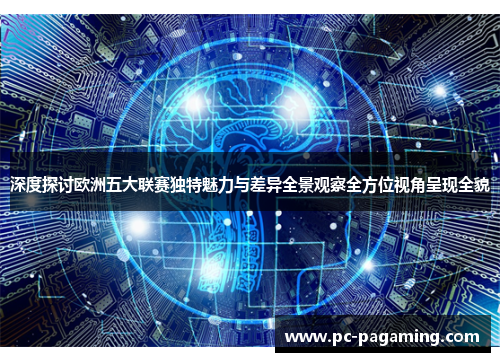 深度探讨欧洲五大联赛独特魅力与差异全景观察全方位视角呈现全貌