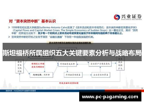 斯坦福桥所属组织五大关键要素分析与战略布局 斯坦福桥所属组织五大关键要素分析与战略布局
