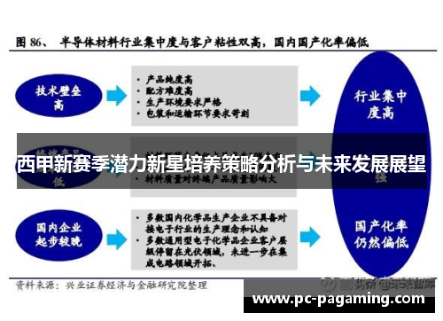 西甲新赛季潜力新星培养策略分析与未来发展展望