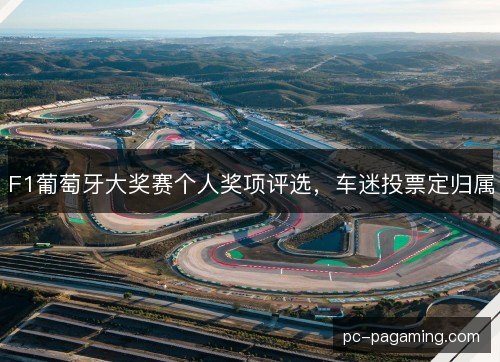 F1葡萄牙大奖赛个人奖项评选，车迷投票定归属